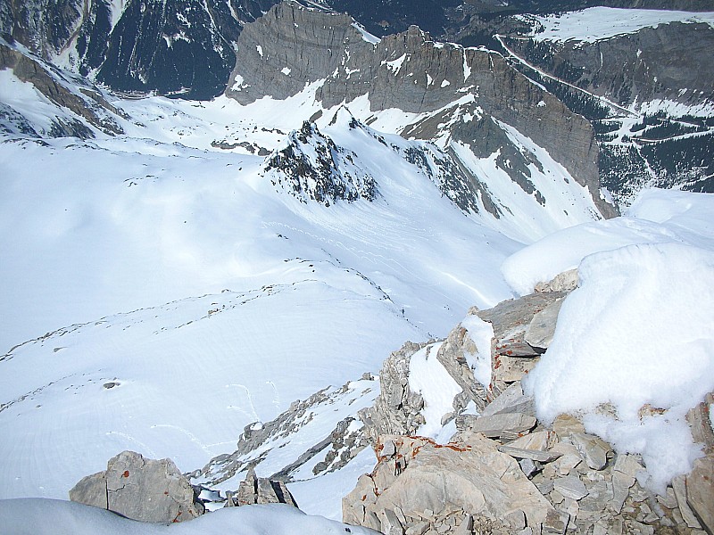 Vue du Sommet : On aperçoit deux traces dans le Glacier du Grand Marchet ...