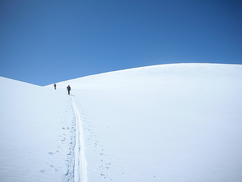 Exit ! : Par ici la sortie !