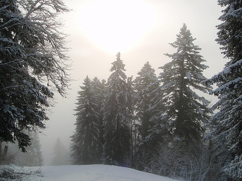 Ambiance 2804 : Hivernal!