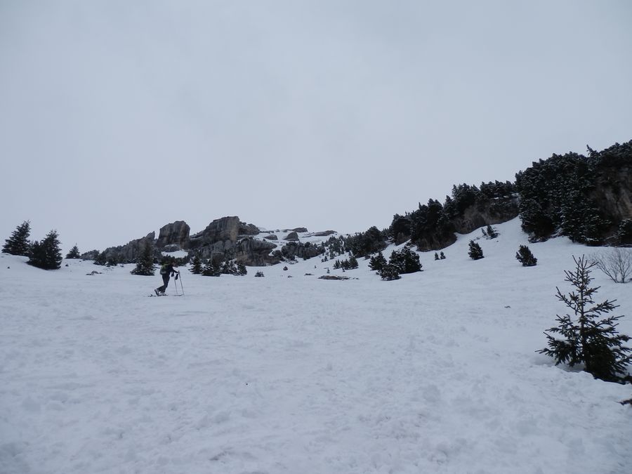 Neige un peu lourde : Mais il en reste encore beaucoup !