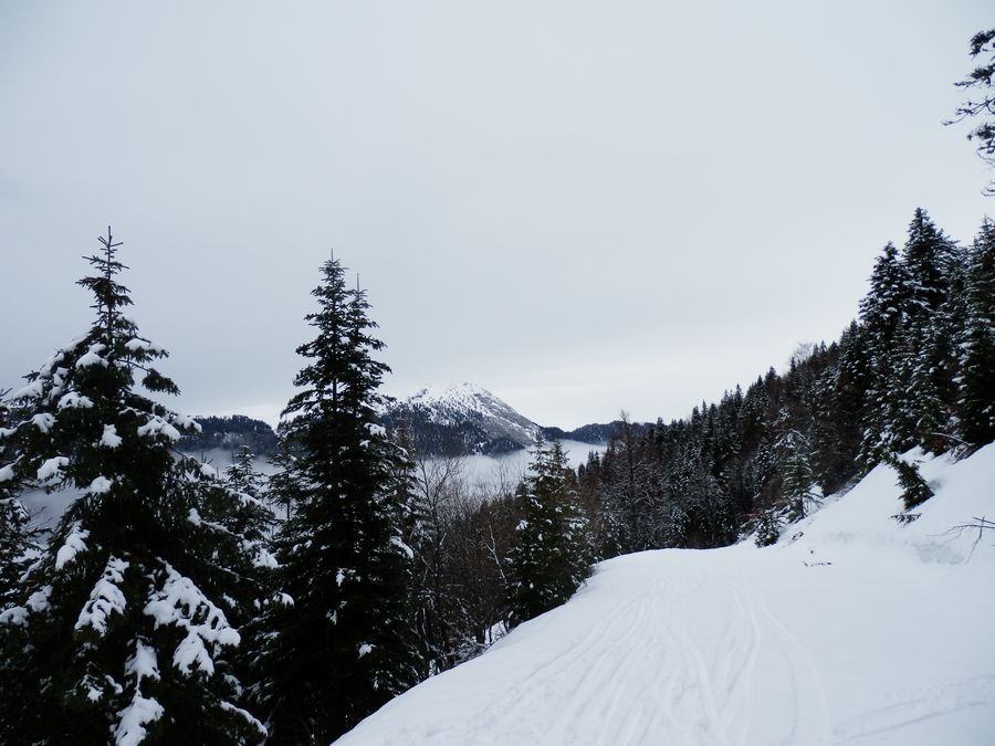 Haut des pistes : Ambiance hivernale