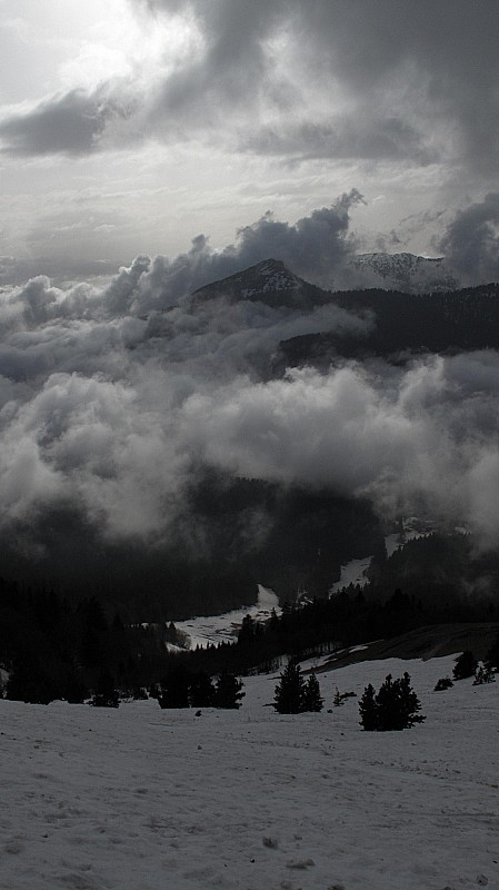 Orage : L'orage se forme, et il va bien nous le faire savoir!!