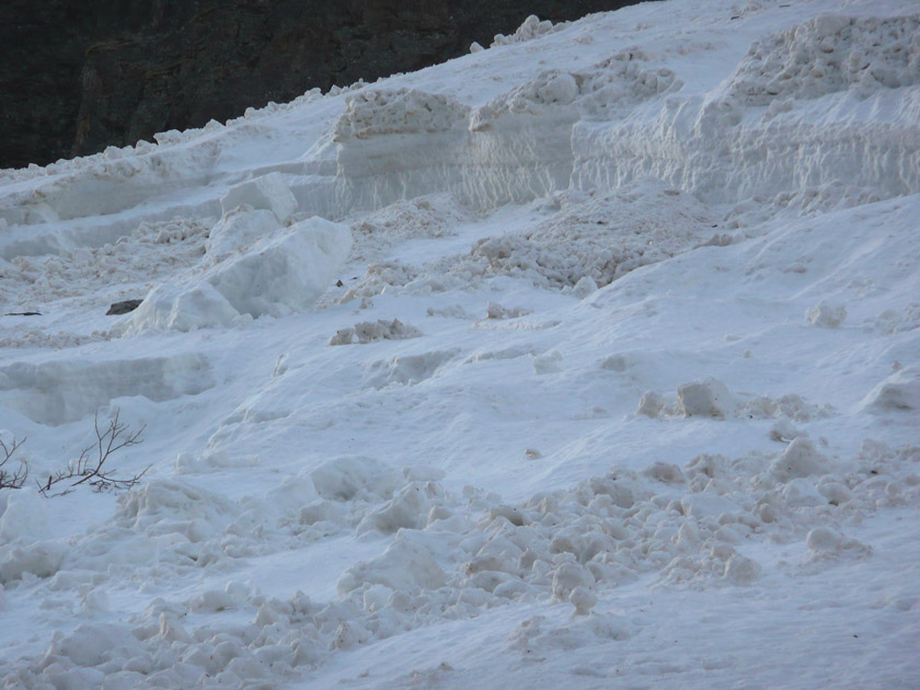 Purges : Apocalypse snow