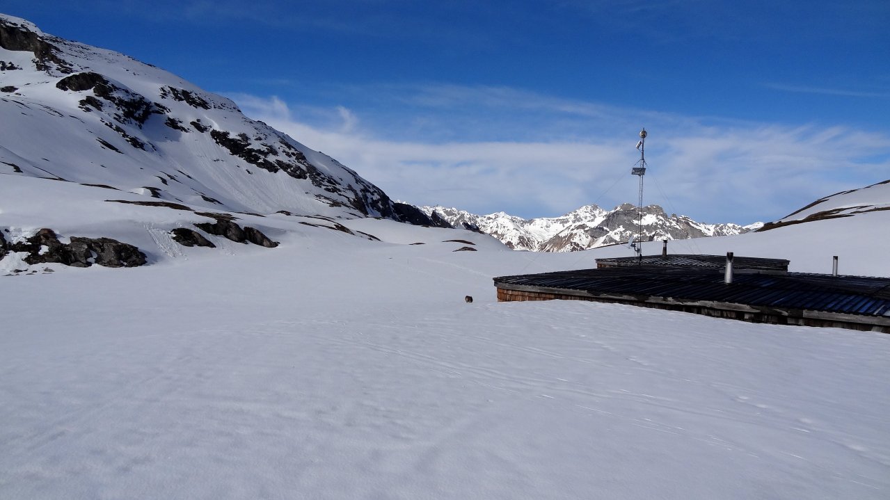 Le refuge de la Vanoise : Les marmottes sont sorties, il y en avait tout autour du refuge
