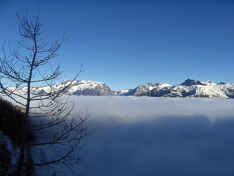 Aiguille : Mer de nuages