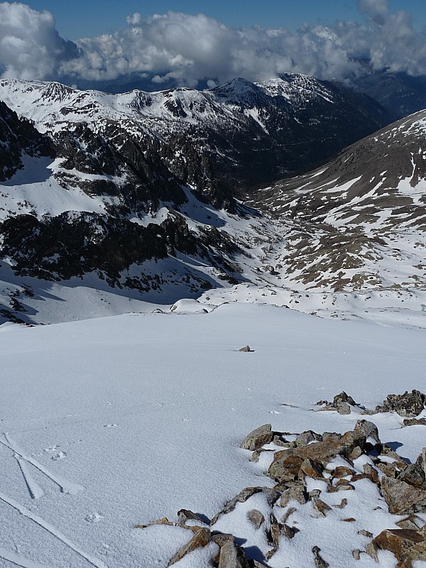Vue de l'antécime : ça bourgeonne.