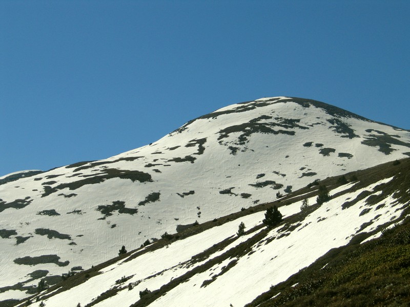 Puigmal de Llo : la neige se fait rare .