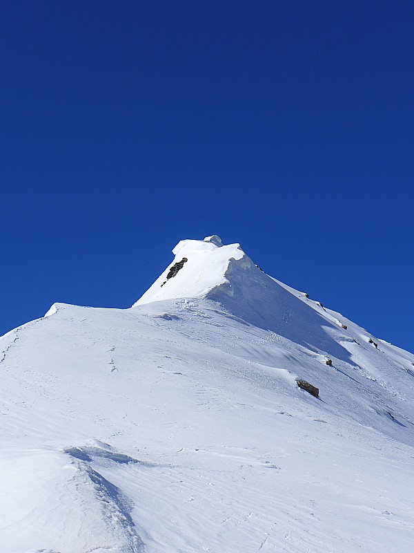 L'arête sommitale : vu l'enneigement, il est possible de monter par les pentes NW (mais attention neige dure, avec un grip médiocre).
