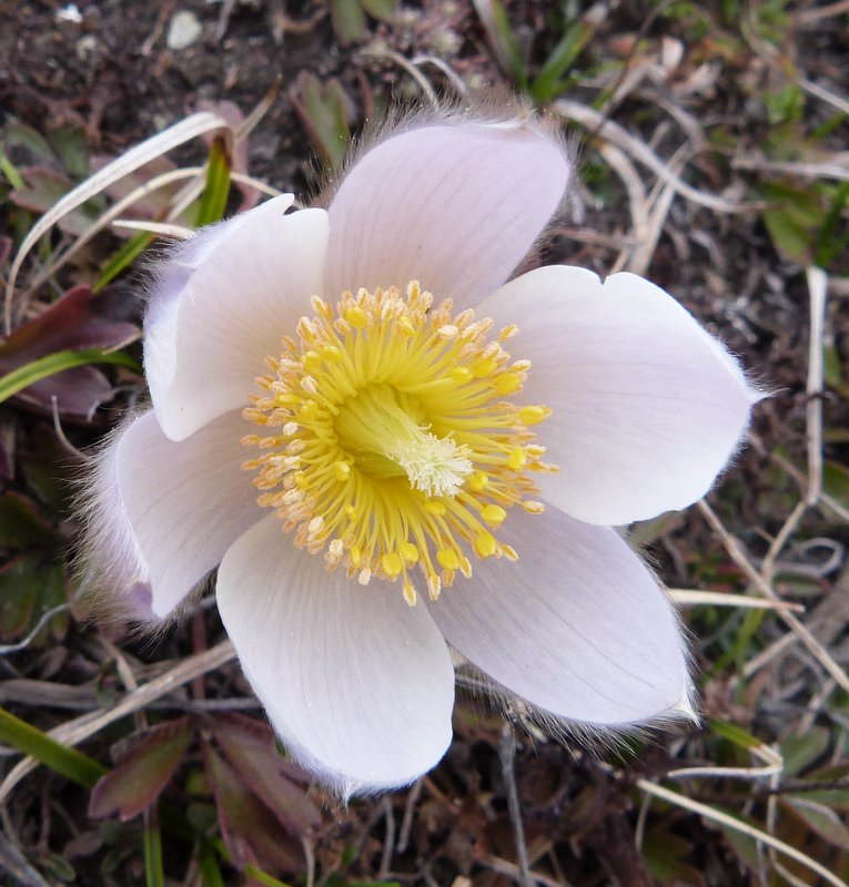 C'est le printemps! : Enfin!