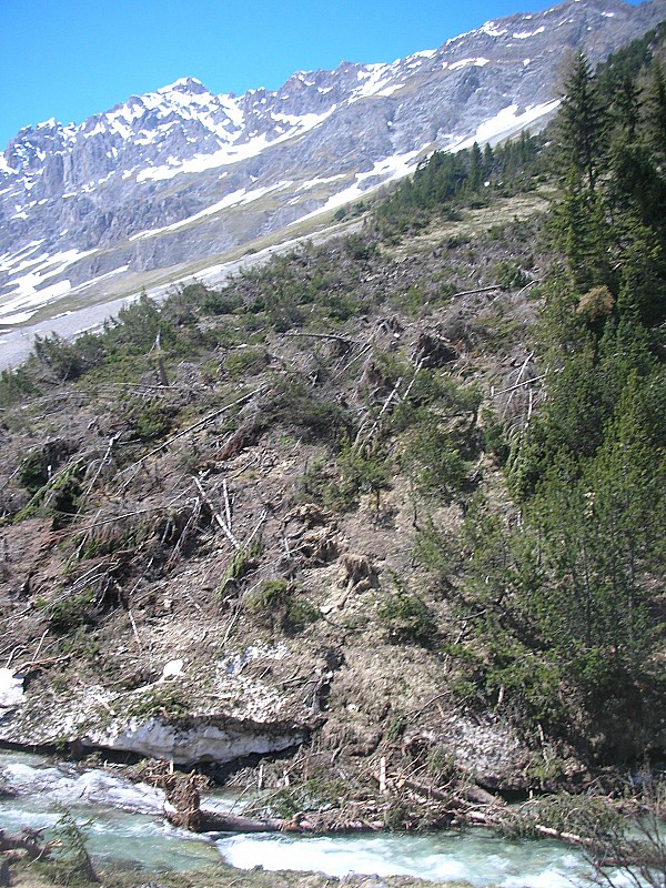 Coulée : Les ravages des avalanches des Prioux: impressionnant !