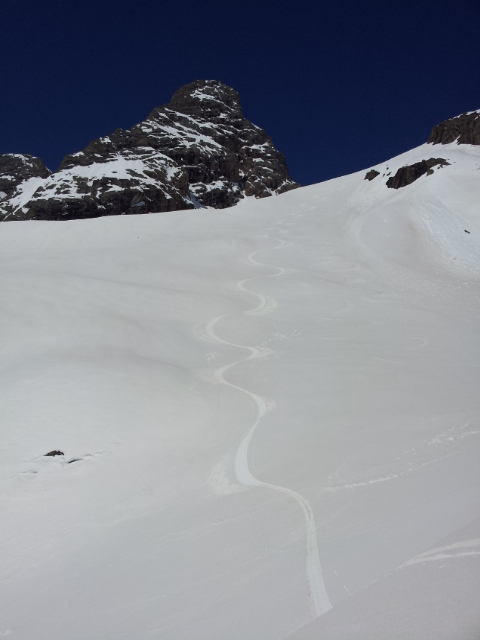 Chat : Moquette sur le feu glacier des Aiguilles d'Arves