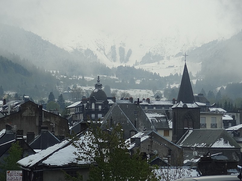 Le Mont Dore 1050m : Contraste entre l'arbre en feuilles et l'ambiance hivernale