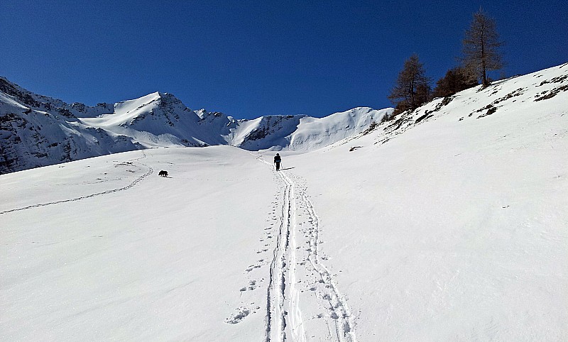 Vers 2100m : Bel enneigement