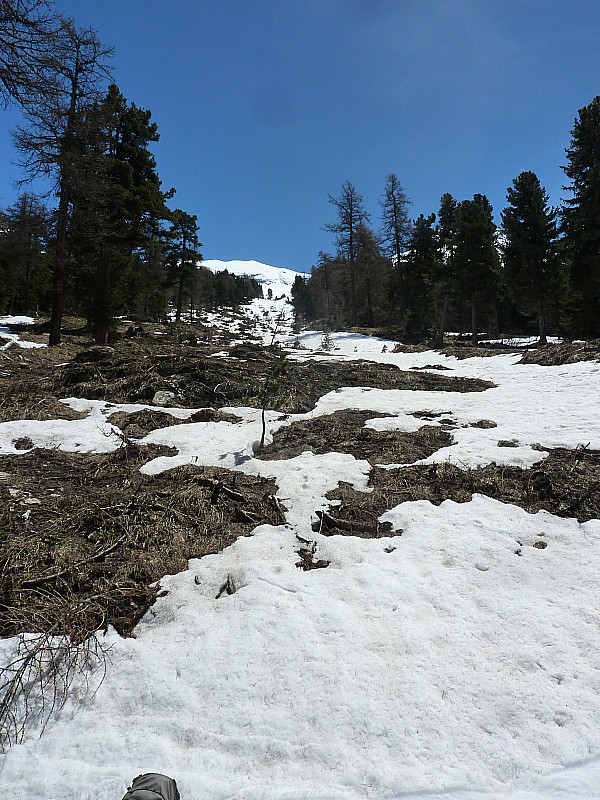 Chemin forestier : Fin de descente