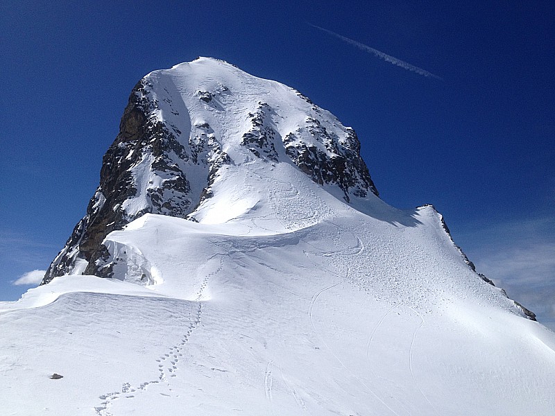 Cime de la Maledie : 2 traces de ski......