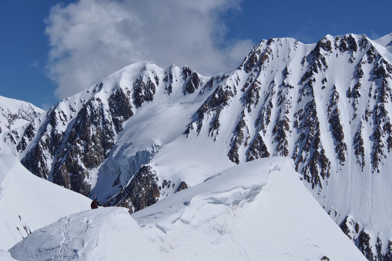 arête vers le col de la Scie : Nos compagnons d'un instant débutent la traversée.