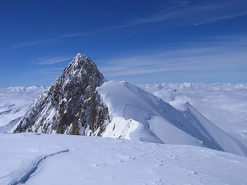 Aiguille des Glaciers : Epaule N objectif du lendemain!!!