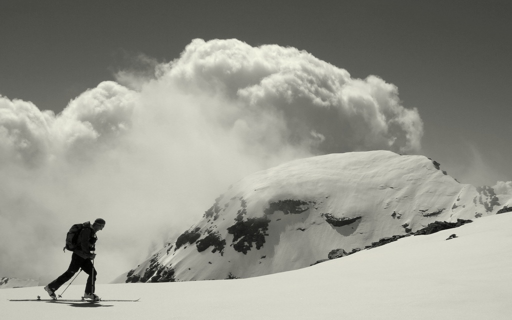 Ca bourgeonne vers l'Est