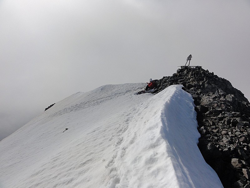 #2 Les Rouies, sommet : Bien enneigé... Les Rouies, sommet : Bien enneigé...