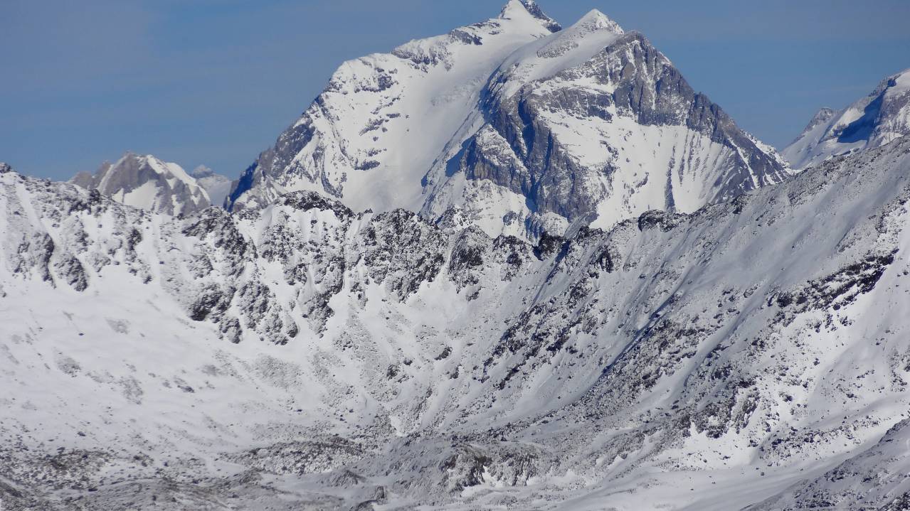La Grande Casse : La reine des lieux ...