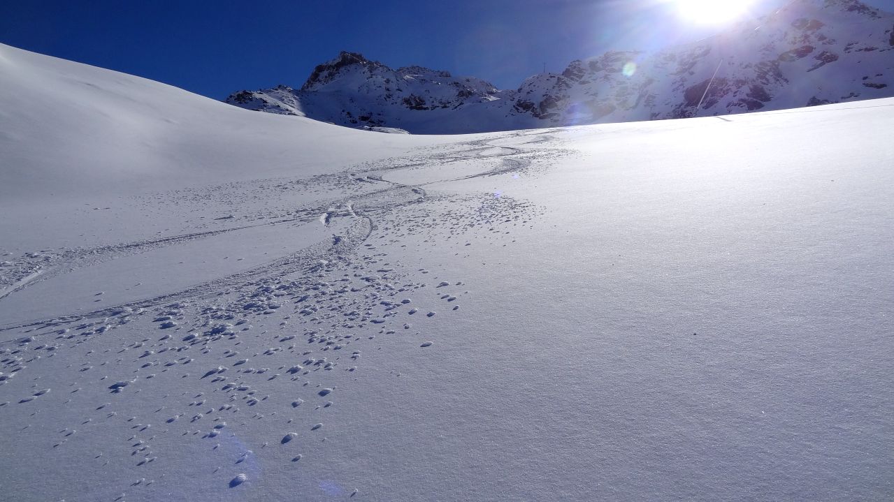 Premières traces : Les traces de 2 skieurs plus matinaux que moi ...