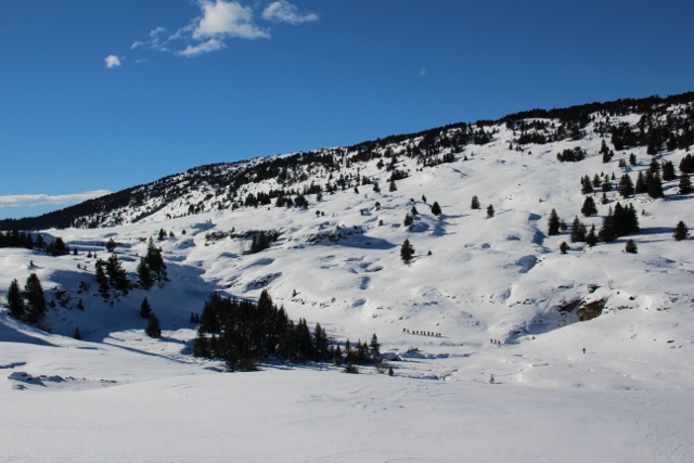 #2 raquettistes : une colonne chemine en contrebas raquettistes : une colonne chemine en contrebas