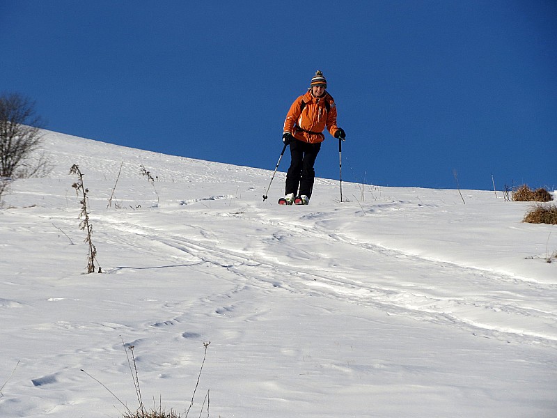 Descente au soleil : Agréable surprise: c'est toujours en poudre. Du bon ski.