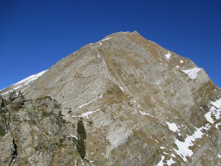 #6 Charvin : Versant sud Charvin : Versant sud