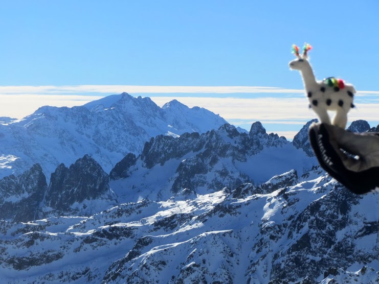 lama en selle : Un vent à décoiffer un lama...