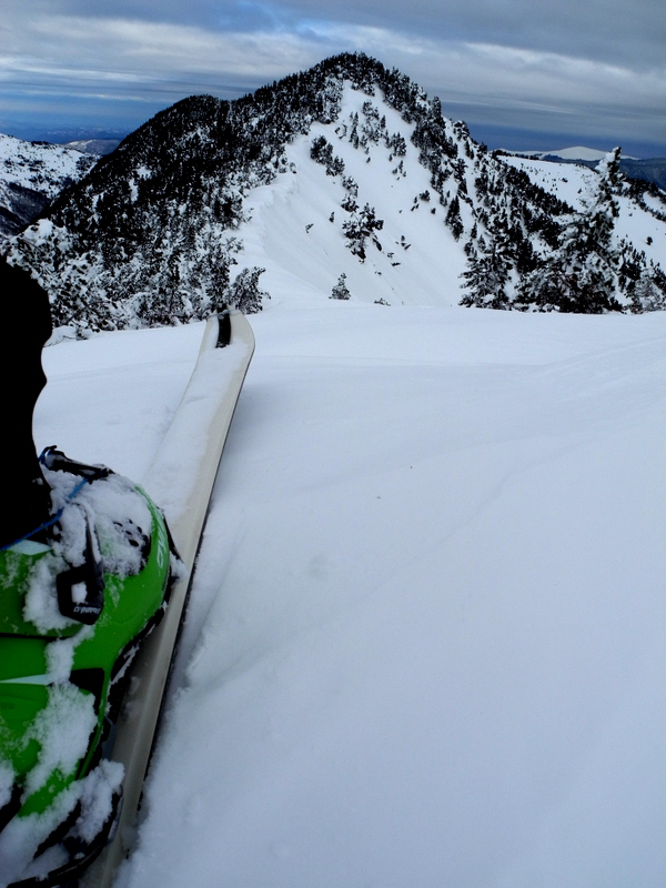 Coumeille de l'Ours : La crête de la Coumeille de l'Ours et du Pic de Monpudou ... passage délicat dans la forêt avec grosse poudreuse