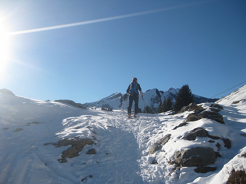 praz de lys : chaleur et soleil...
