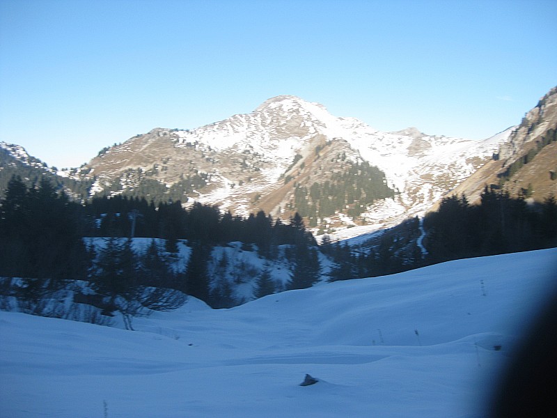 haute pointe : haute pointe bien pelée...