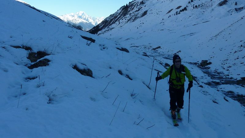 Vallon du Nant Brun : Mont Blanc en toile de fond