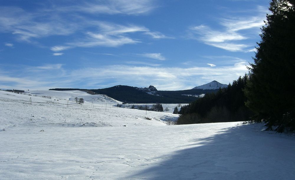 Le long du Lignon : Au loin, le Mézenc sous son profil le plus "alpin"