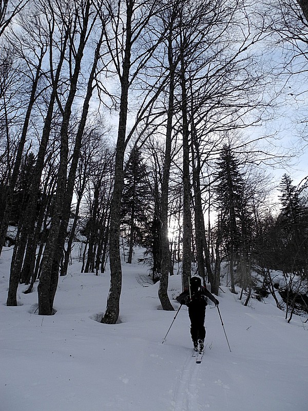 Ruisseau de Chourlot : Après être montée dans la forêt rive gauche , nous voilà rive droite , déchaussage pour traverser