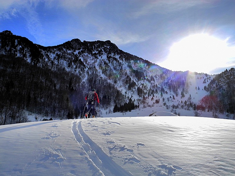 Sortie de la forêt : Découverte des Sarrat de Bourbou et Bédeilla