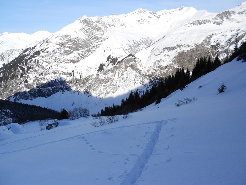 #1 Trace de montée : On enfonce de 40 cm dans cette neige poudreuse... Trace de montée : On enfonce de 40 cm dans cette neige poudreuse...