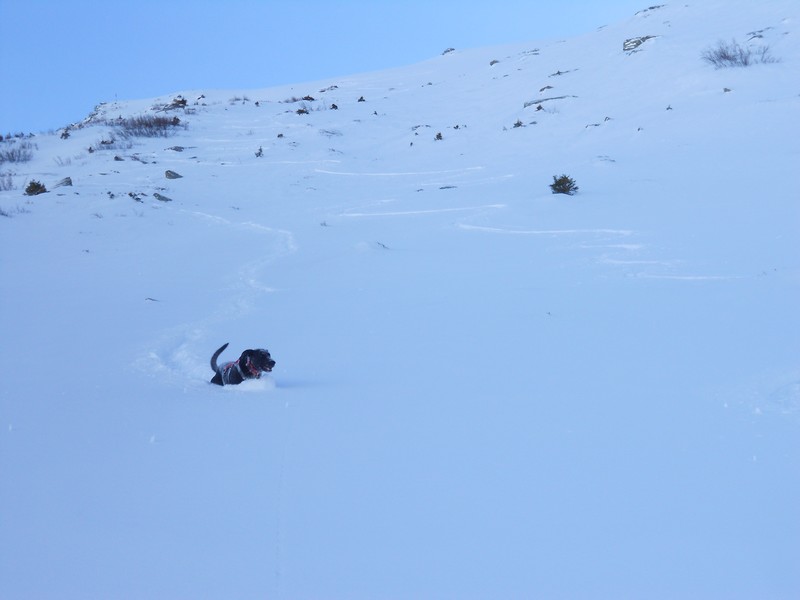 #4 Cassien dans la descente : J Cassien dans la descente : J'arrive presque à le distancer !