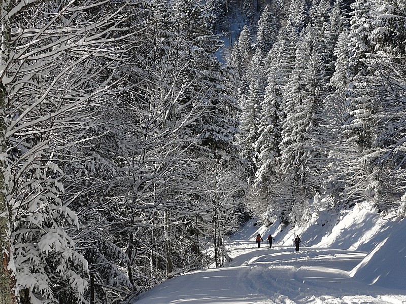 Route du Charmant Som : Retour de l'ambiance d'hiver (enfin...)