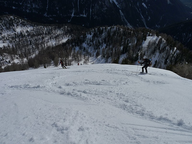 La face du cavalet : bien revenue.
