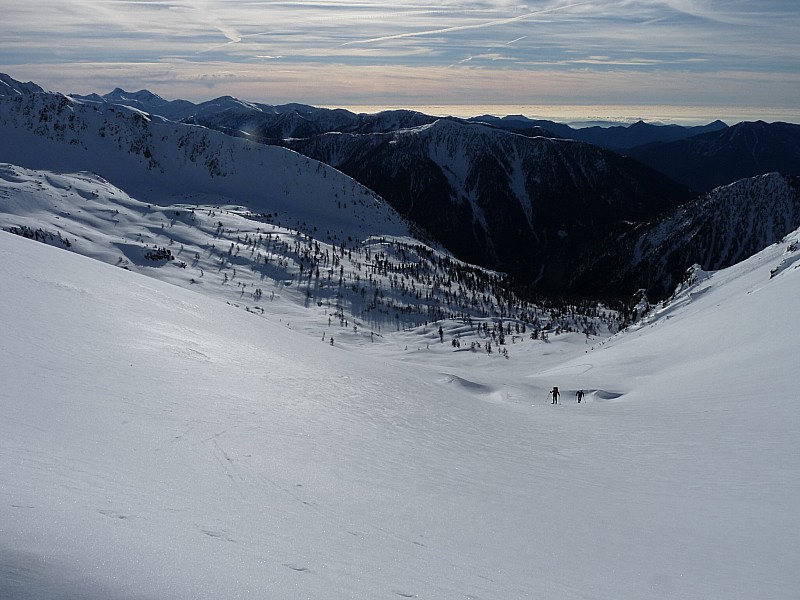 Arrivée : à la baisse de Rogué.
