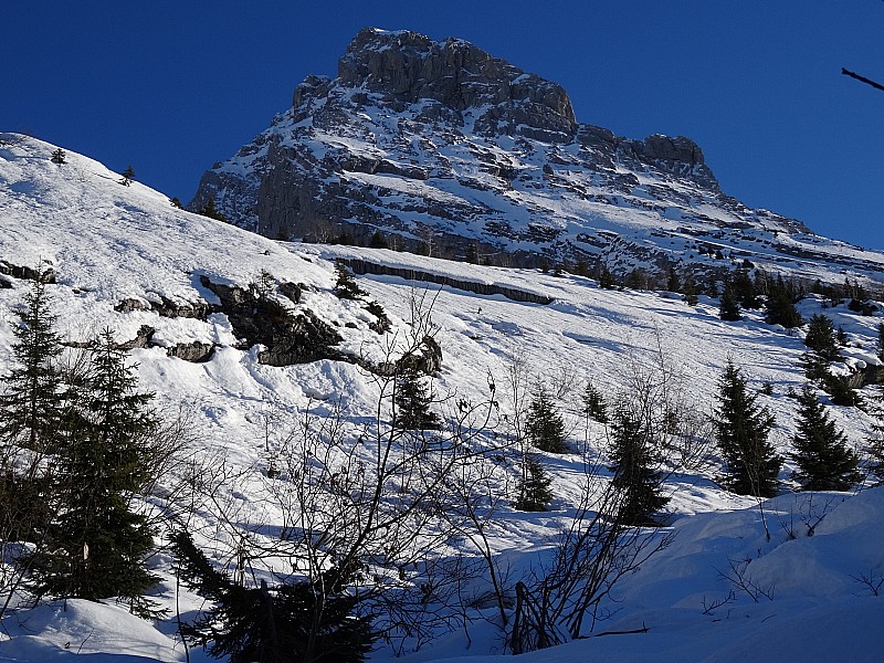 Combe du Mt Charvet : Les plaques au dessus du chemin du Planet: bien enneigées.