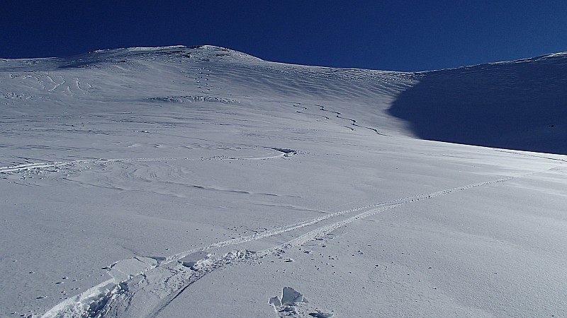 PETIT PARPAILLON : Poudre de rêve sous le sommet et jusqu'en bas