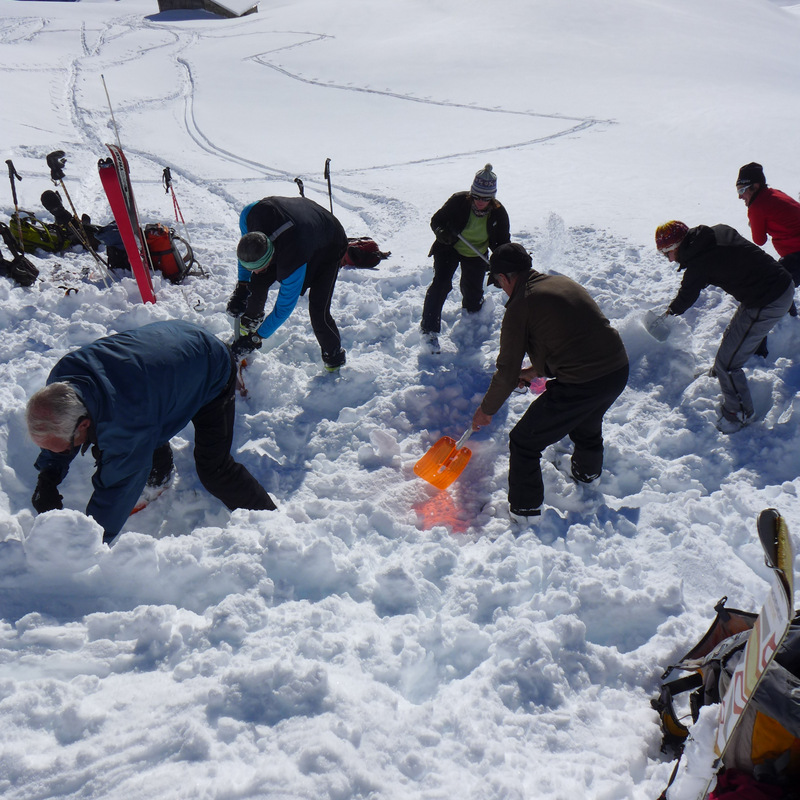 Les pelles sont de sortie