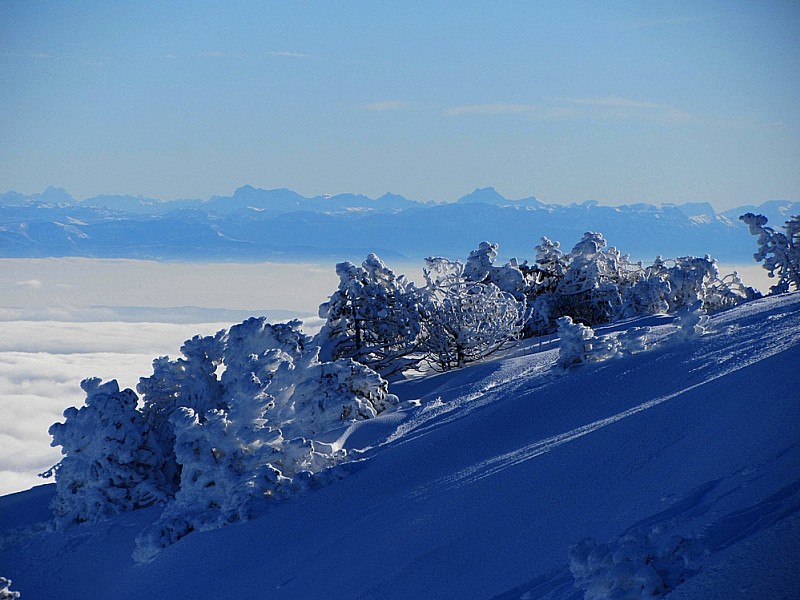 Mézenc : Super visi sur l'arc alpin (de la Suisse au Ventoux aujourd'hui !)