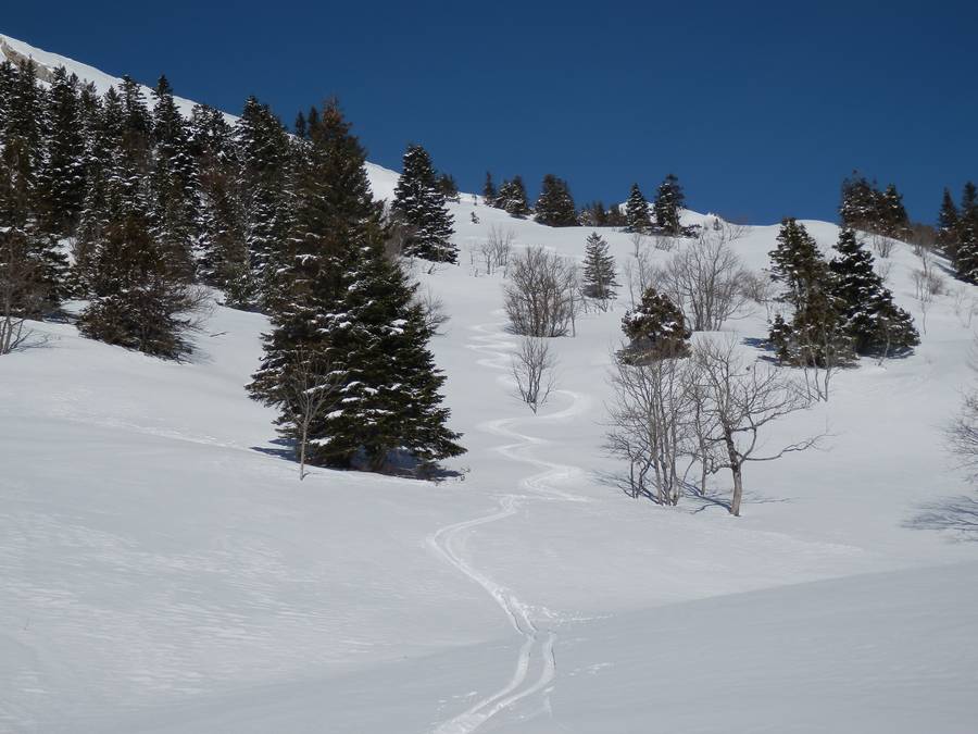 Poudre 5* : Ski génial sur cette zone