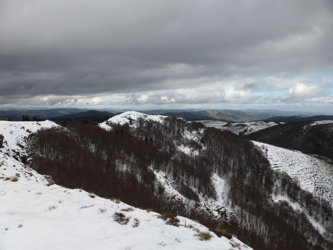 #3 Plateau de Cuze : Un petit air de Bout du monde Plateau de Cuze : Un petit air de Bout du monde