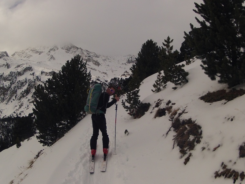 Arête de Chaix : ça monte
