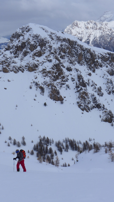 Au-dessus de la forêt : avant le petit col au-dessus de la cabane de l'Alp.