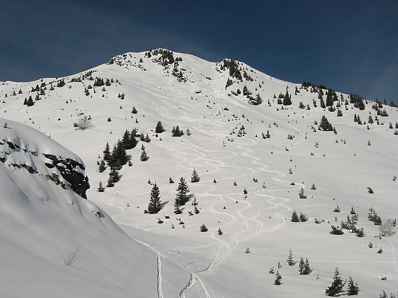 Roche Plane versant sud : Versant sud on voit la coulée déclenchée par nos skis